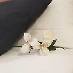 Al Parco Bed & Breakfast Verona